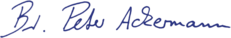 asset_image