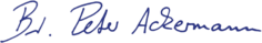 asset_image