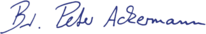 asset_image