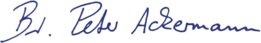 asset_image