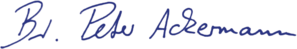 asset_image